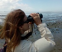 Vogelbeobachtung am Wattenmeer
