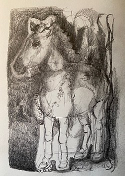 Pferdchen, 2022, Bleistift  auf Papier, 30 x 20 cm