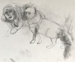 Zwei Tiere, 2025, Bleistift auf Papier, 20 x30 cm